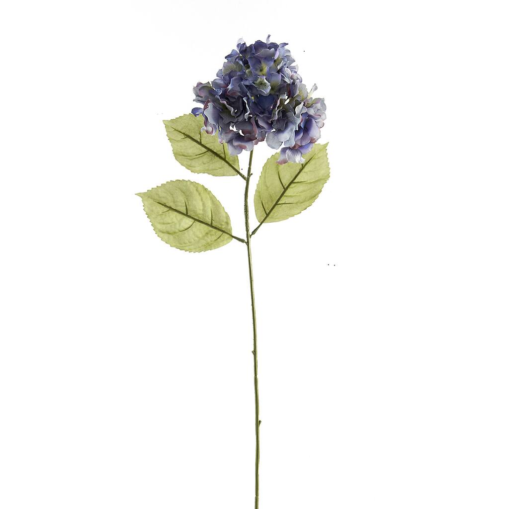 10328172.jpg img